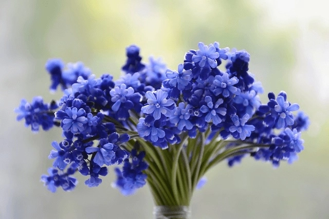 Hochzeitsblumen