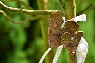 Freie Trauung Rituale - einen Baum pflanzen ist beliebt