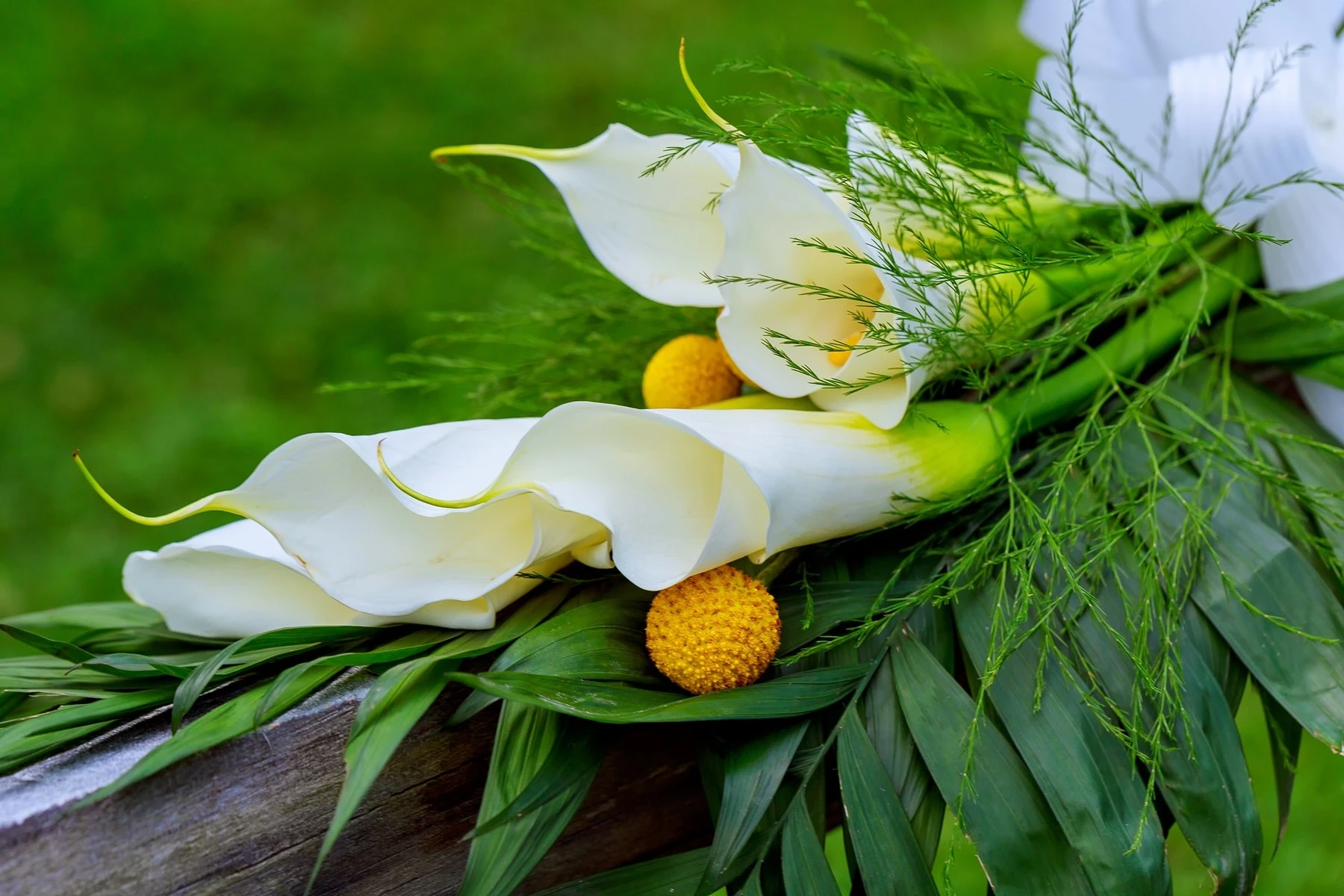 Trauredner Salzgitter - mit wundervollen Blumen zur besten Stimmung